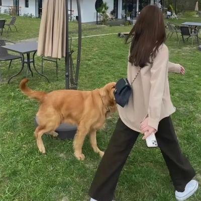 美丽比一比